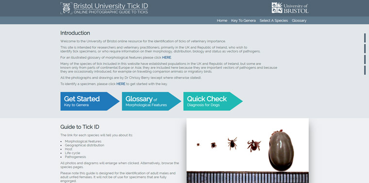 Bristol University Tick ID