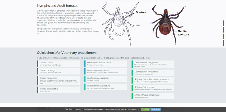 Bristol University Tick ID