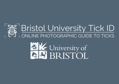 Bristol University Tick ID