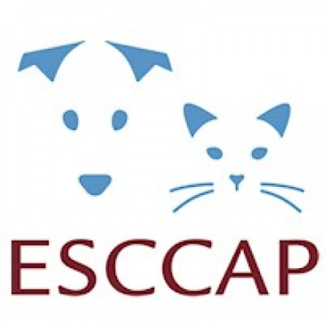 ESCCAP with a new website