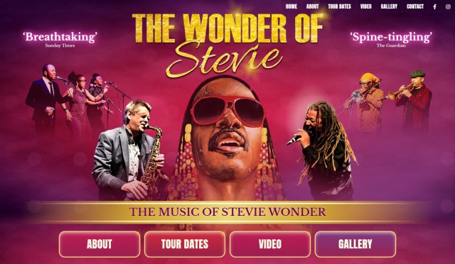 The Wonderful Wonder of Stevie