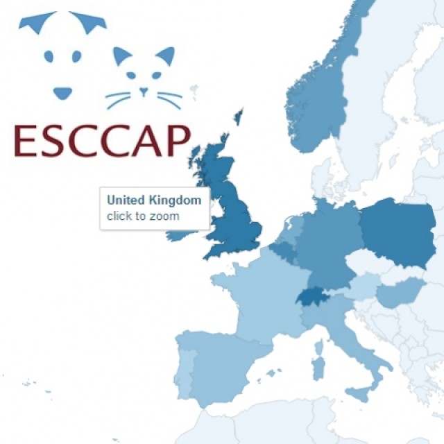 Furry Flyers: Get Advice for Healthy Pet Travel