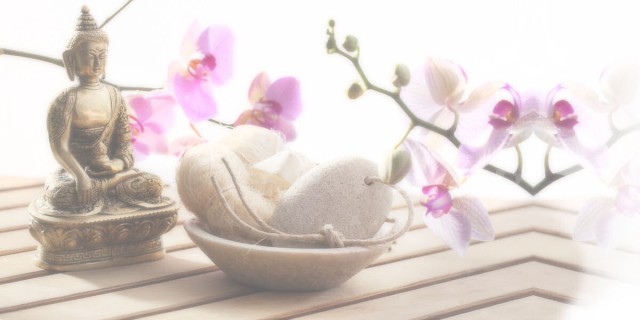 Paadena Yoga reaches up