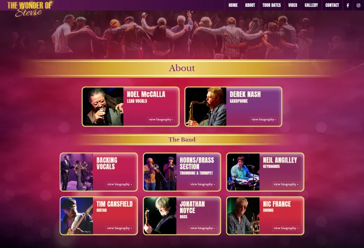 The Wonder of Stevie